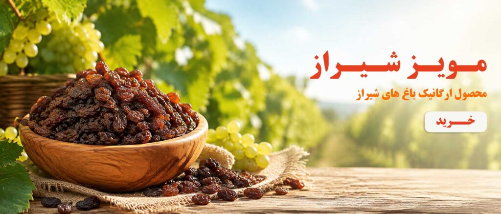 مویز قلات